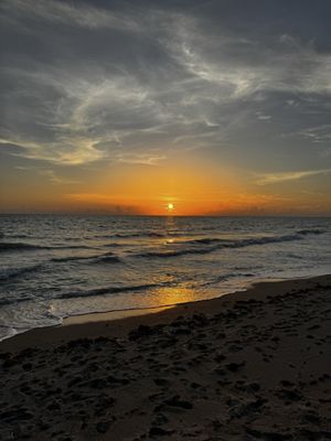 South Seas Resort by null