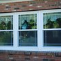 Photo of J. J.'s Window Service