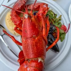 Lobster meal