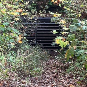 Ruffner Mountain - Hiking Near Me - Birmingham, Alabama