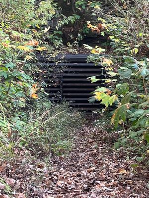 Ruffner Mountain by null