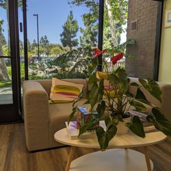 Jeffrey Tseng, DPM - Cozy waiting area