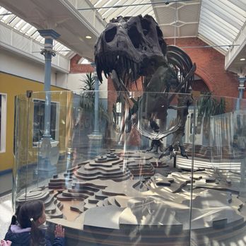 Dublin Zoo - Jurassic Trail - Zoos Near Me - Dublin, D Dublin Zoo - Jurassic Trail - Zoos Near Me - Dublin, D