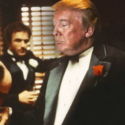 Unique - Even Trump would not shop here..