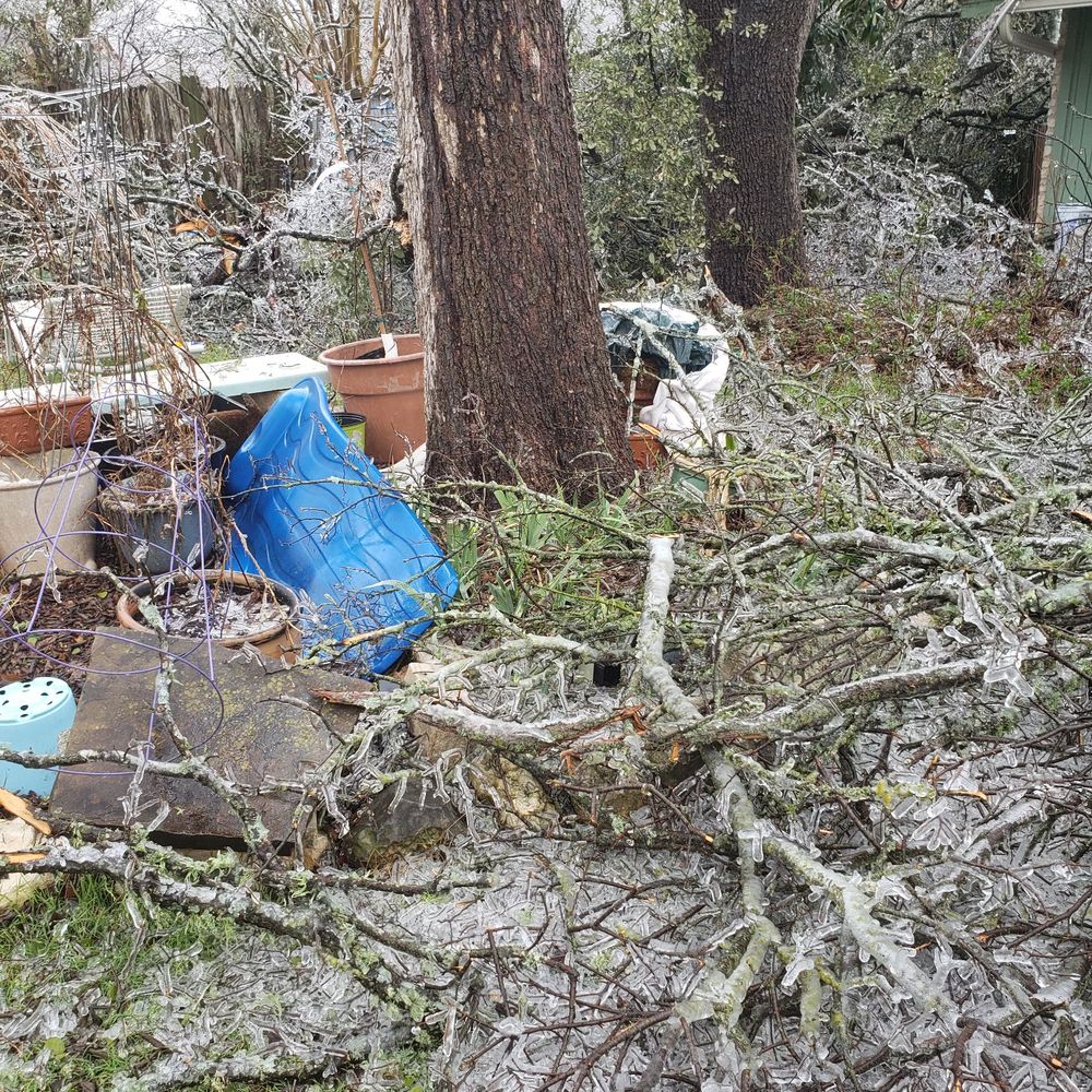 Austex Tree Service - Tree Services Near Me - Round Rock, Texas Austex Tree Service - Tree Services Near Me - Round Rock, Texas