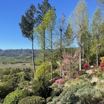 Rombauer Vineyards - Wineries Near Me - St. Helena, California Rombauer Vineyards - Wineries Near Me - St. Helena, California