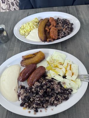 La Flor Blanca by null