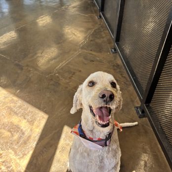 Furry Haven - Pet Boarding Near Me - Bountiful, Utah Furry Haven - Pet Boarding Near Me - Bountiful, Utah