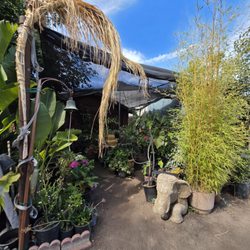 Paz Nursery - Bamboo