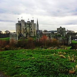 View from Trim Castle.
