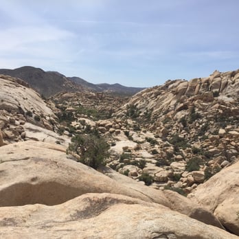 Joshua Tree Adventures - Tours Near Me