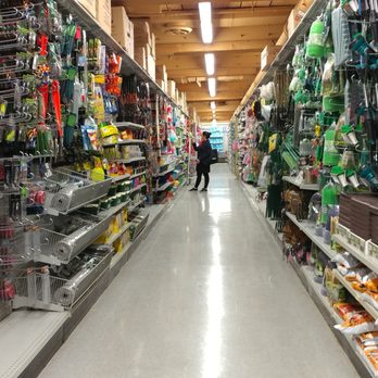 Dollarama - Dollarama in Toronto, Ontario - Discount Store Near Me - Toronto, Ontario