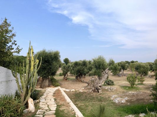 Masseria Il Frantoio by null