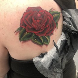 Rose Cover Up Rose Cover Up