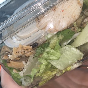 Panera Bread - A COCKROACH in Chicken Cesar Salad - Sandwiches Near Me - Bronx, New York