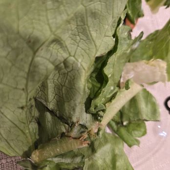 Marco's Pizza - Dirty wilted lettuce leaf - Chicken Wings Near Me - Upland, California