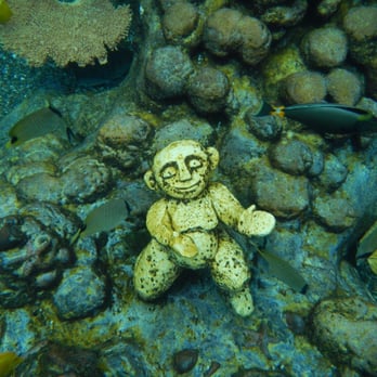 Rainbow Reef - Aquariums Near Me