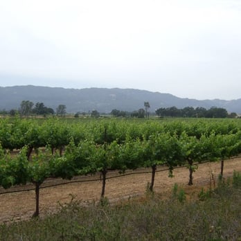 Mumm Napa - Wine Tasting Room Near Me - Rutherford, California Mumm Napa - Wine Tasting Room Near Me - Rutherford, California