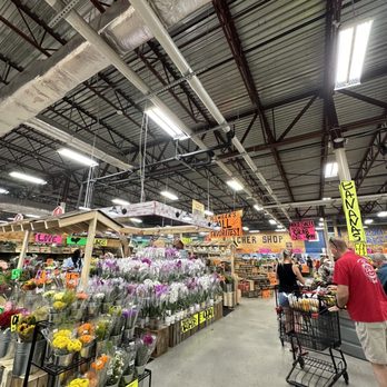 Detwiler's Farm Market - Floral dreams - Farmers Market Near Me - Palmetto, Florida Detwiler's Farm Market - Floral dreams - Farmers Market Near Me - Palmetto, Florida