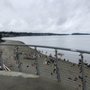 Photo of Chambers Creek Regional Park