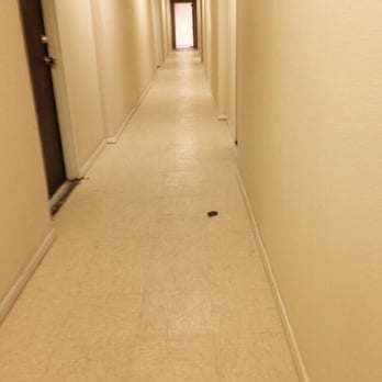 Mountain View Apartments - What's that on the floor?! - Apartments Near Me - El Paso, Texas