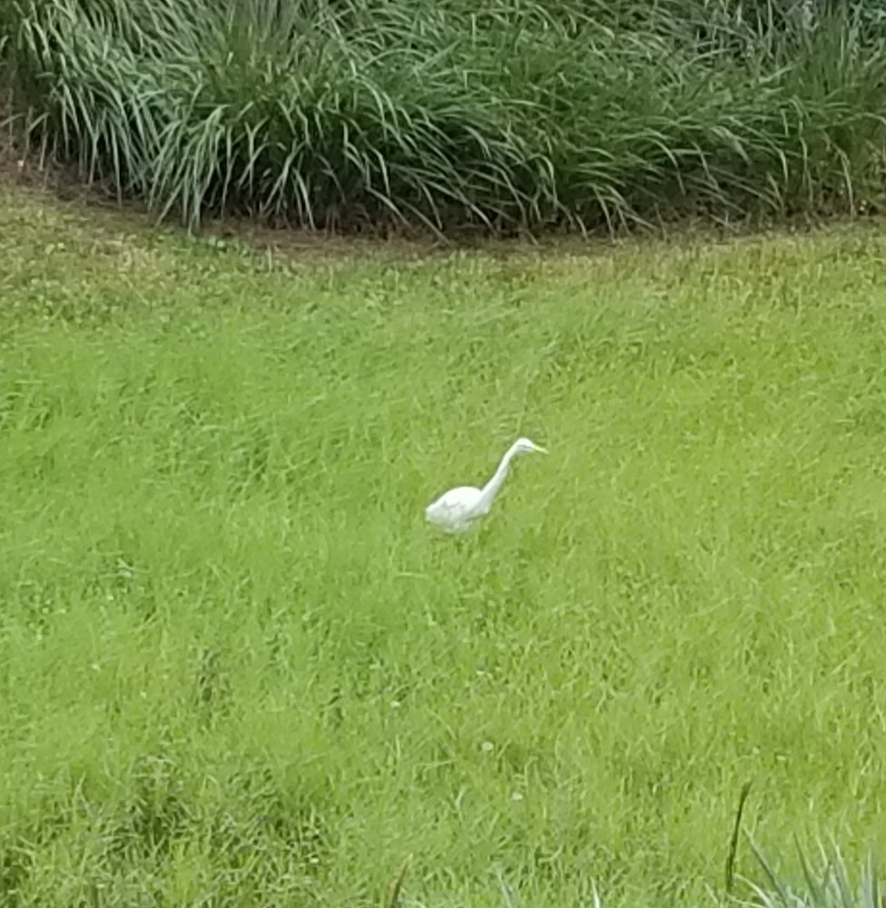 MARINA KEY 14 Photos 913 Lake Shore Dr, Lake Park, Palm Beach