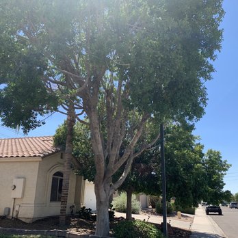 Happy Tree Landscaping - After - Landscaping Near Me - Mesa, Arizona