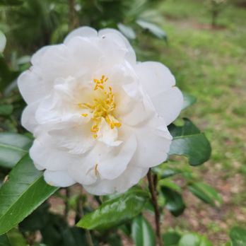 Mead Botanical Garden - Botanical Gardens Near Me - Winter Park, Florida