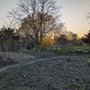 Photo of 295J