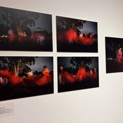 The Frank - Frank C. Ortis Art Gallery And Exhibit Hall