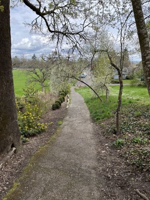 Bush's Pasture Park by null