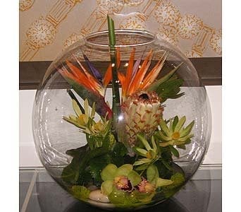 Slide of Stain And Seal Experts