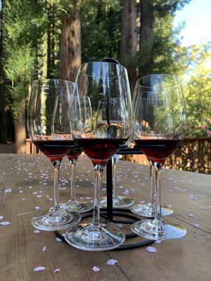 Beauregard Vineyards by null