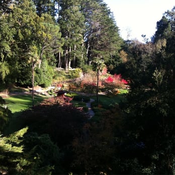 Powerscourt Gardens & House - Japaneese garden - Parks Near Me - Enniskerry, WW Powerscourt Gardens & House - Japaneese garden - Parks Near Me - Enniskerry, WW