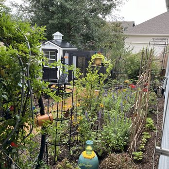 Calloway's Nursery - Nurseries & Gardening Near Me - Richardson, Texas