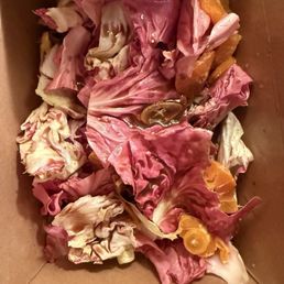 Chicory Salad