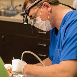 Northside Endodontics