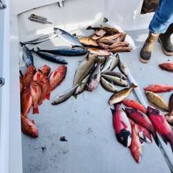 Last Cast Sportfishing