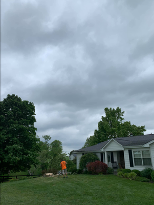 Residential Services - We can handle any of your residential needs big, tall, small and all we can get the job done! Residential Services - We can handle any of your residential needs big, tall, small and all we can get the job done!