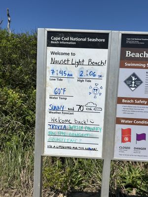 Nauset Beach by null