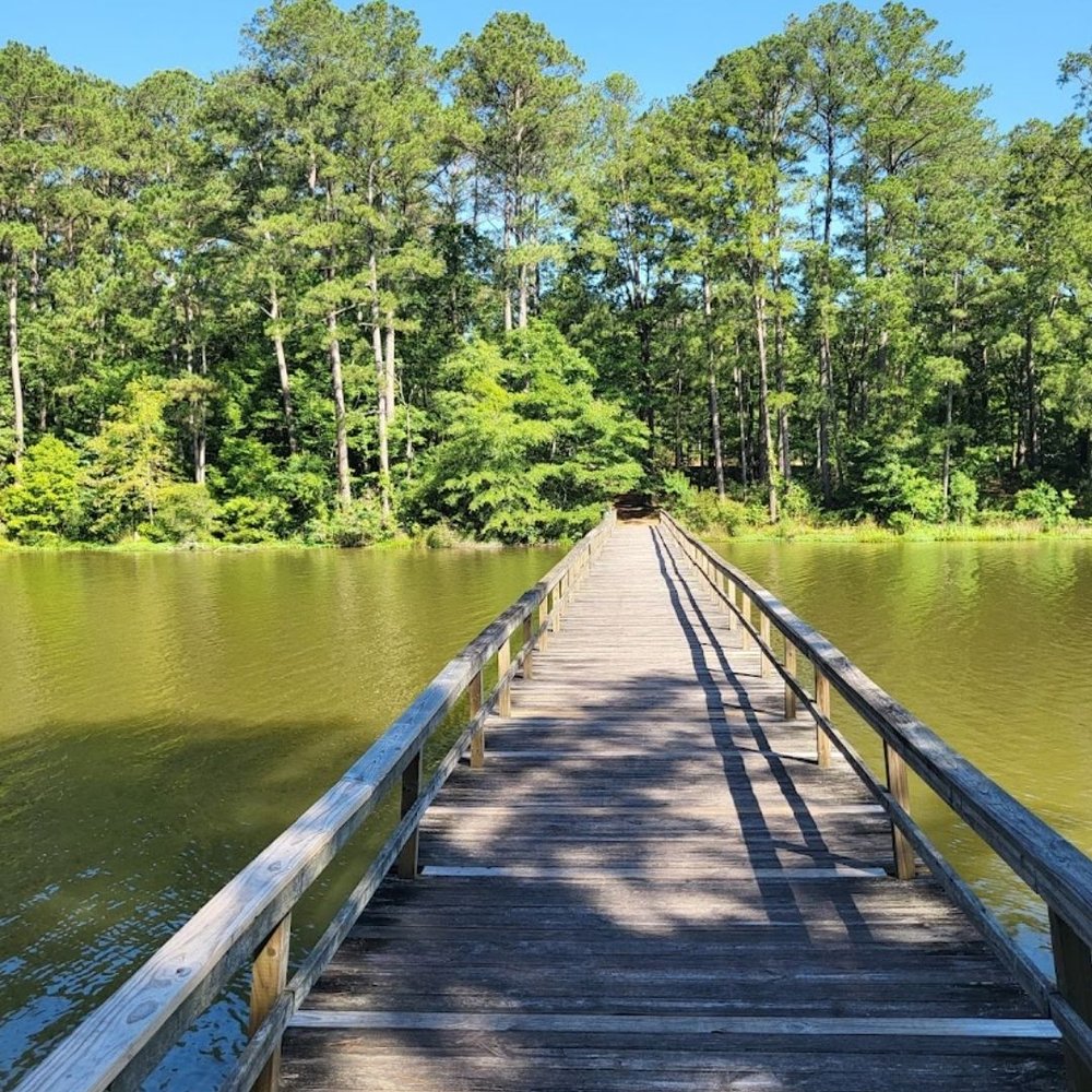 Lake Lincoln State Park - Boardwalk - Parks Near Me - Wesson, Mississippi Lake Lincoln State Park - Boardwalk - Parks Near Me - Wesson, Mississippi