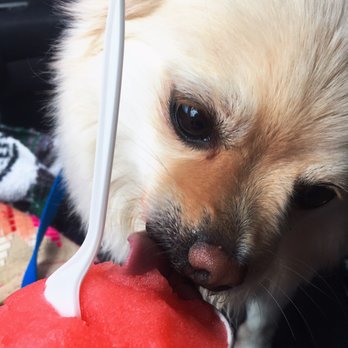 Chucks  Water Ice - Pup approved. Strawberry lemonade. - Ice Cream & Frozen Yogurt Near Me - Philadelphia, Pennsylvania