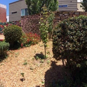 Fillmore & Turk Mini Park - A Little Landscaping - Parks Near Me - San Francisco, California Fillmore & Turk Mini Park - A Little Landscaping - Parks Near Me - San Francisco, California
