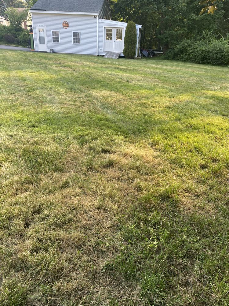 Groundhog Landscaping - tree service in Derry, NH