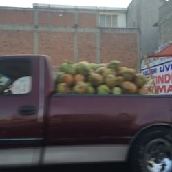 Cocos