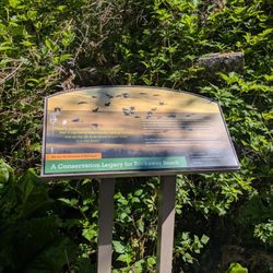 Rockaway Big Tree Trailhead