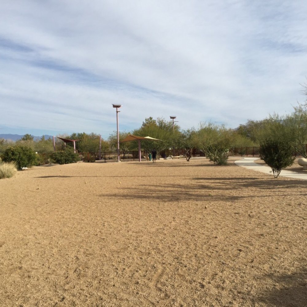 Purple Heart Park: Ivan's Spot - Dog Parks Near Me - Tucson, Arizona Purple Heart Park: Ivan's Spot - Dog Parks Near Me - Tucson, Arizona