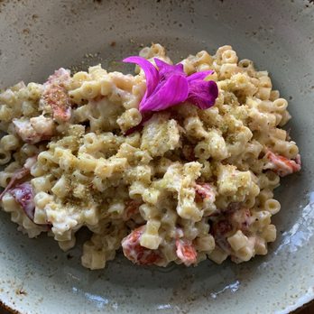 Julian Restaurant - Lobster Mac - Tapas/Small Plates Near Me - Tampa, Florida Julian Restaurant - Lobster Mac - Tapas/Small Plates Near Me - Tampa, Florida