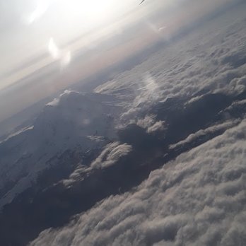 Alaska Airlines - Airlines Near Me - Seattle, Washington Alaska Airlines - Airlines Near Me - Seattle, Washington