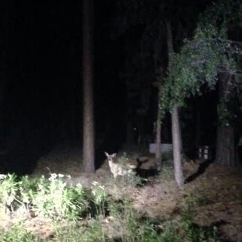Crystal Lake Camp Ground - I see u Bambi lol - Campgrounds Near Me - Azusa, California Crystal Lake Camp Ground - I see u Bambi lol - Campgrounds Near Me - Azusa, California